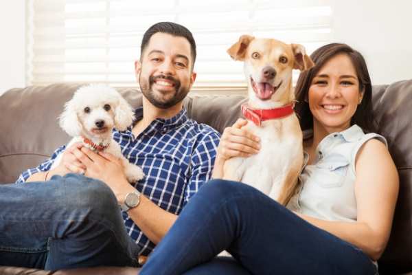 Help your dog adjust to their new home with these tips.
